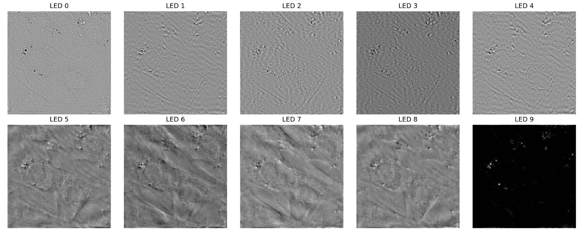 Ten low-resolution grayscale microscope captures of cells, labeled LED 0 through LED 9